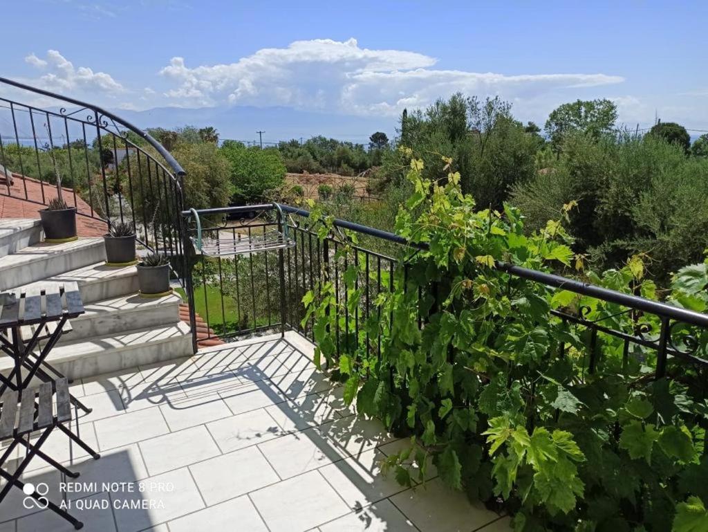 Anastasios Olive Garden Apartments Petalídhion 외부 사진
