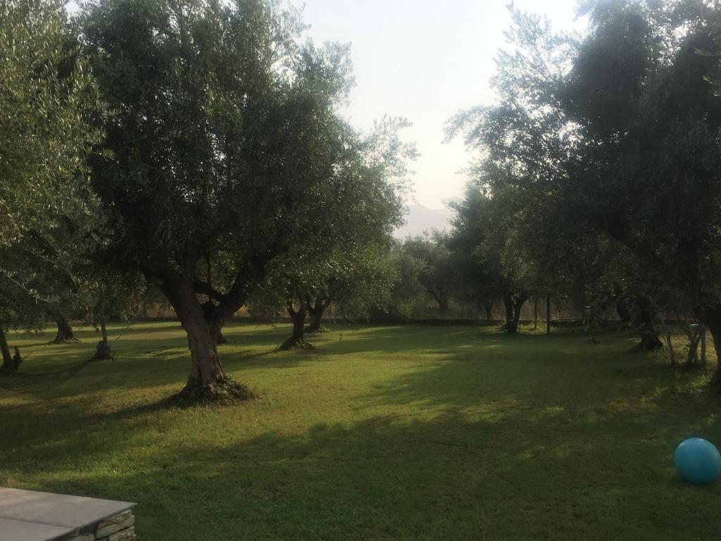 Anastasios Olive Garden Apartments Petalídhion 외부 사진