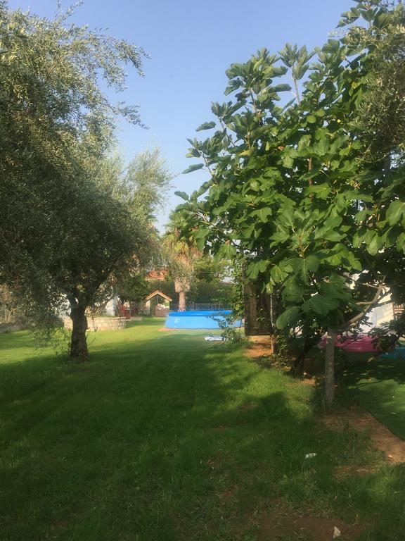 Anastasios Olive Garden Apartments Petalídhion 외부 사진